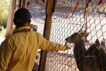 Amojileca: el pueblito pintoresco para descansar, comer pozole y tomar mezcal