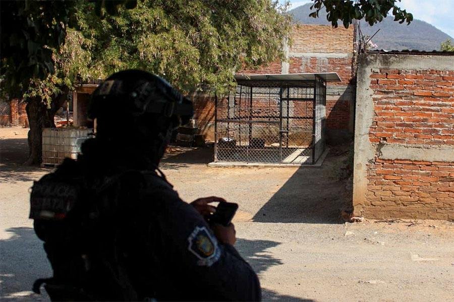 Desaparecen tres tigres que incautó el Ejército en Quechultenango