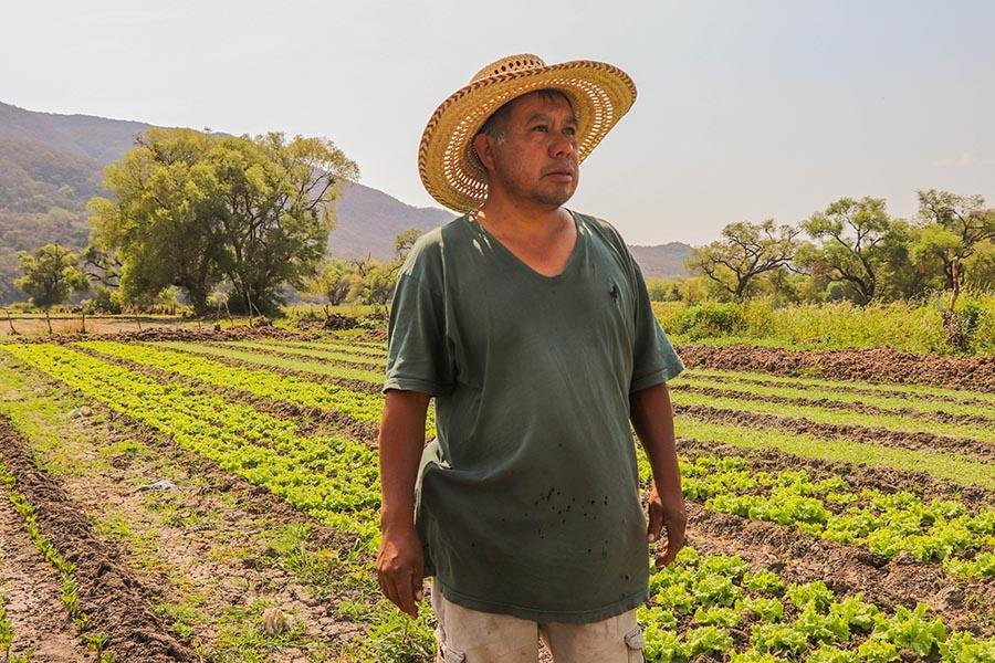 Tixtla: productor de flores y hortalizas de Guerrero