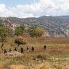 Denuncian la desaparición de otros dos en Chilapa, zona donde la violencia no para desde hace dos años