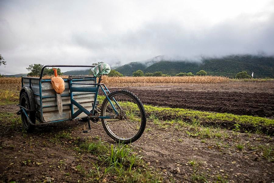 Campesinos de Tixtla pierden sus cultivos por lluvias