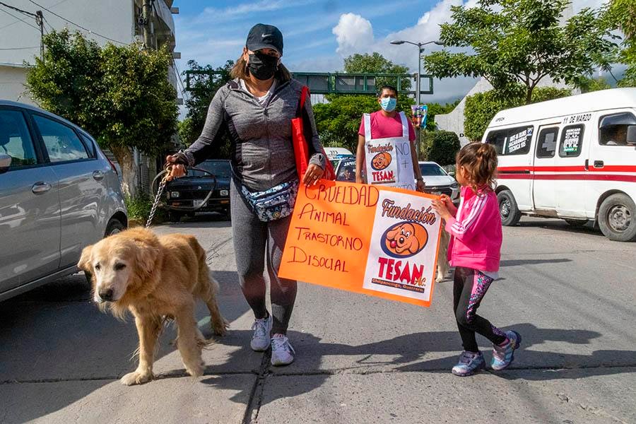 Congreso de la Unión pide al Congreso de Guerrero actualizar leyes en materia de bienestar animal