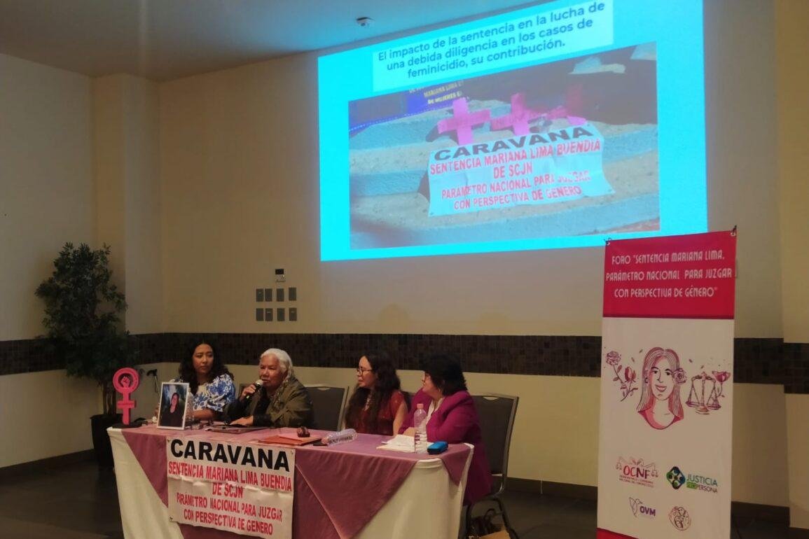 Denuncian activistas falta de perspectiva de género para investigar feminicidios en Guerrero