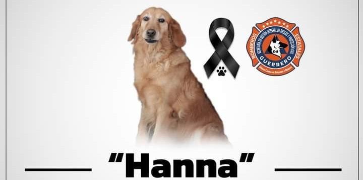 Hanna, la perrita de Protección Civil que ayudó a niños y niñas autistas 