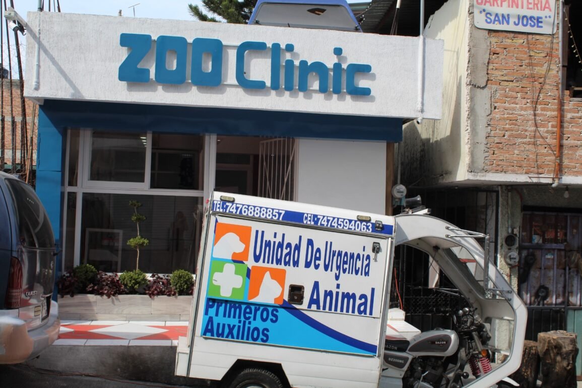 Zooclinic y su ambulancia de animales para salvar a las mascotas