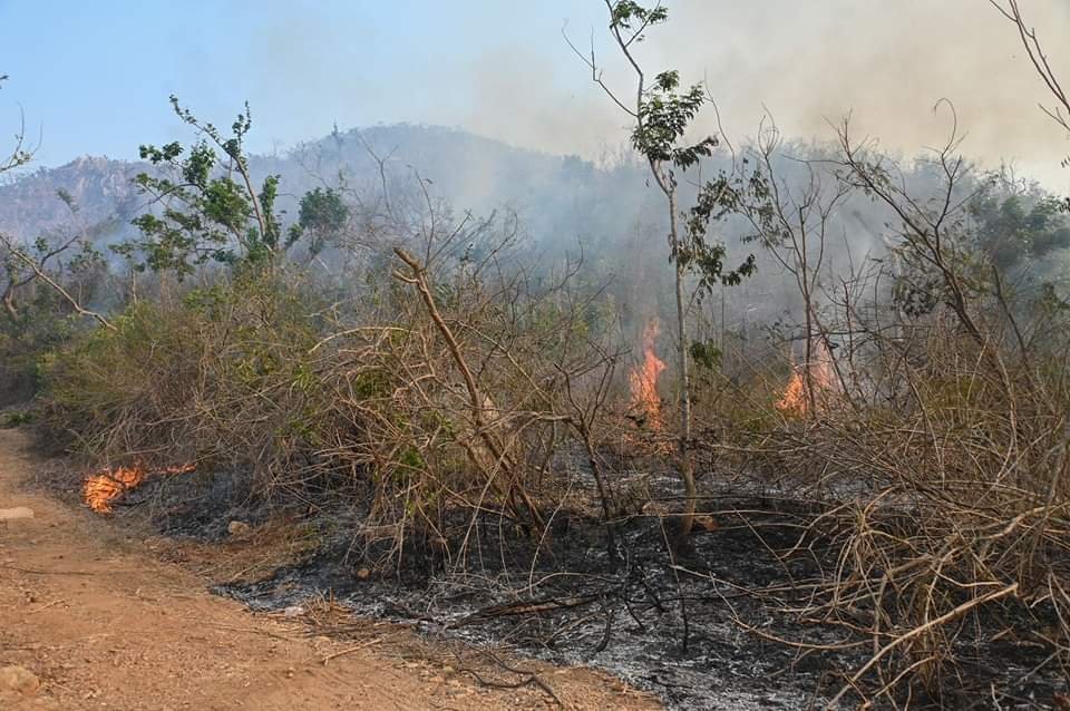 Incontrolables, incendios en Acapulco y Chilpancingo