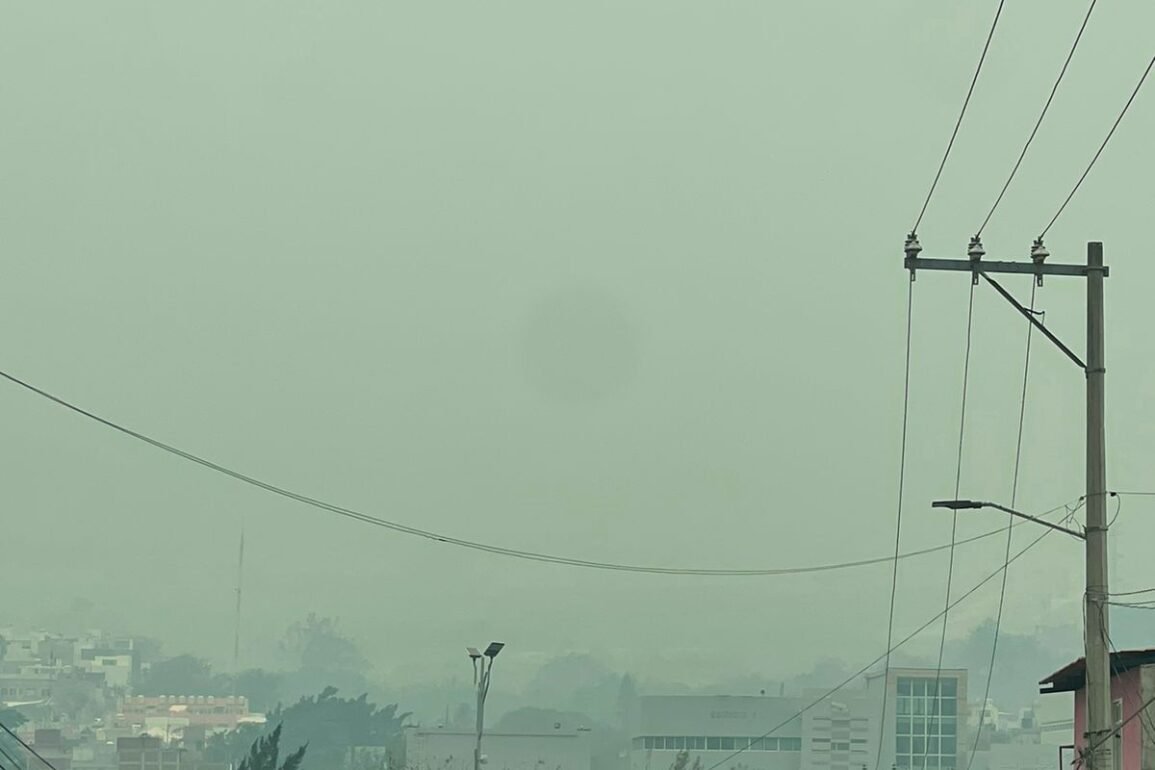 Grupos del crimen organizado incendian bosques de la sierra de Guerrero, denuncian pobladores