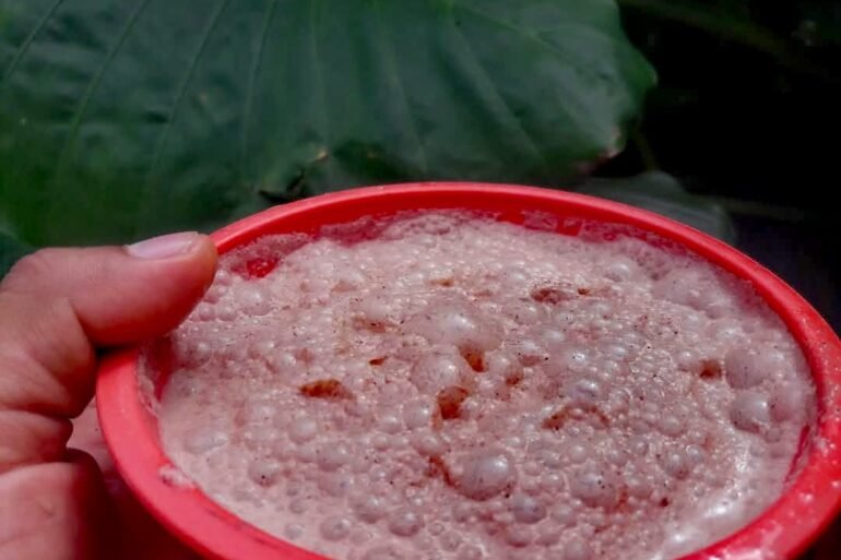 El espumoso chilate de Ayutla de los Libres. Foto: Alberto Ramírez.