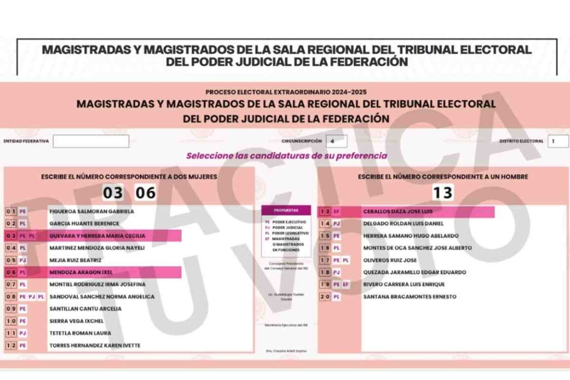 Morena se adueña del Tribunal Electoral: con acordeones impone a magistrados de Sala Superior y Salas Regionales