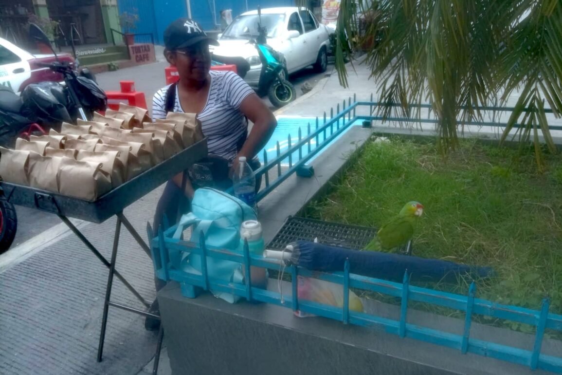 Richi, el loro veracruzano de Juventina que debería estar en libertad, pero cortaron sus alas